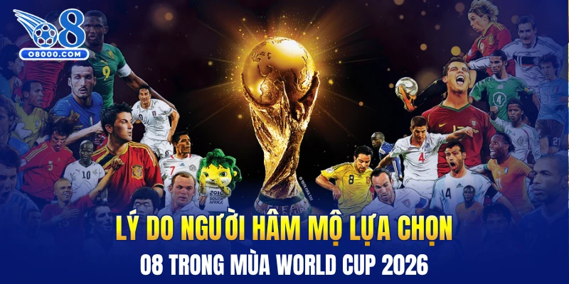 Lý do người hâm mộ lựa chọn O8 trong mùa World Cup 2026